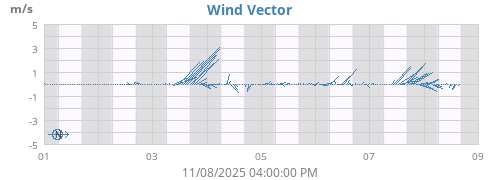 Wind Vector